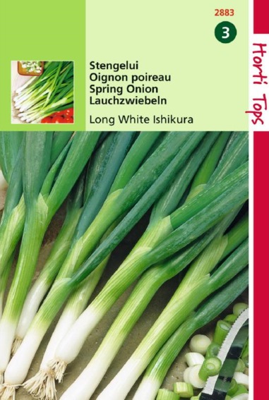 Lauchzwiebeln Ishikura (Allium fistulosum) 750 Samen HT